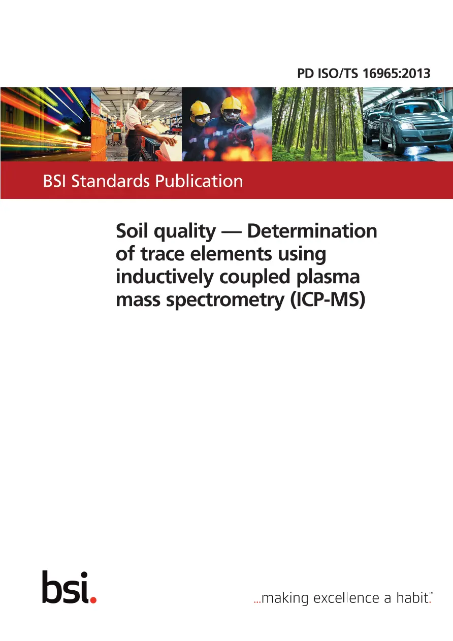 BS PD ISO/TS 16965:2013 BS PD ISO/TS 16965:2013