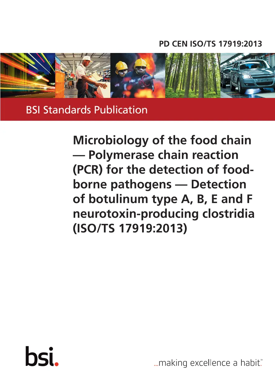 BS PD CEN ISO/TS 17919:2013 BS PD CEN ISO/TS 17919:2013