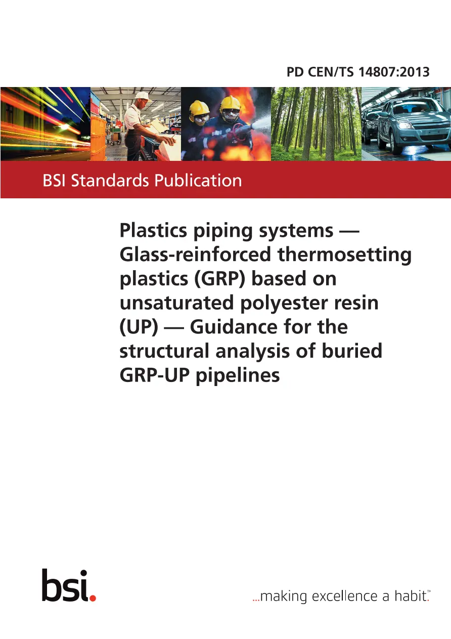 BS PD CEN/TS 14807:2013 BS PD CEN/TS 14807:2013