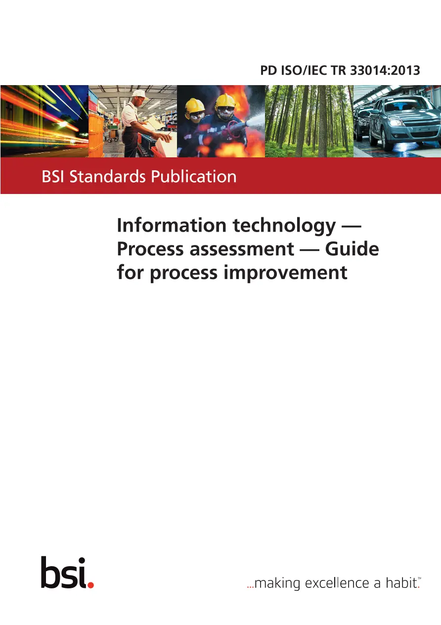 BS PD ISO/IEC TR 33014:2013 BS PD ISO/IEC TR 33014:2013