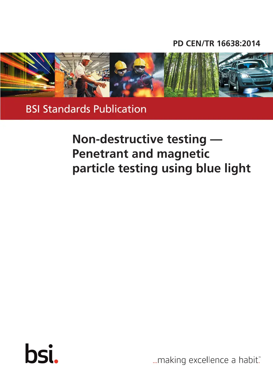 BS PD CEN/TR 16638:2014 BS PD CEN/TR 16638:2014