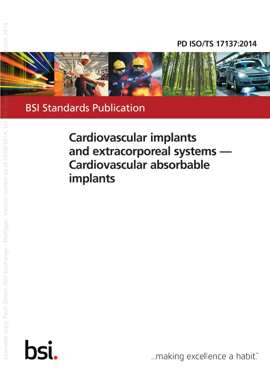 BS PD ISO/TS 17137:2014 BS PD ISO/TS 17137:2014