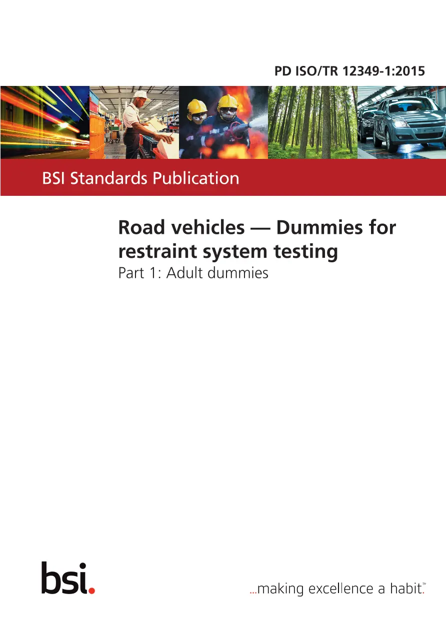 BS PD ISO/TR 12349-1:2015 BS PD ISO/TR 12349-1:2015