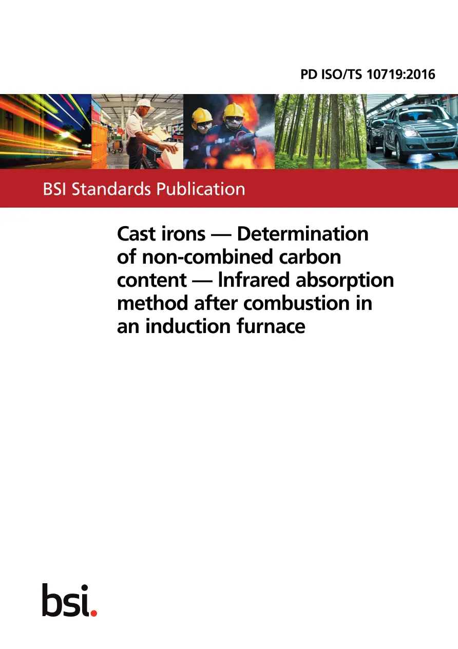 BS PD ISO/TS 10719:2016 BS PD ISO/TS 10719:2016
