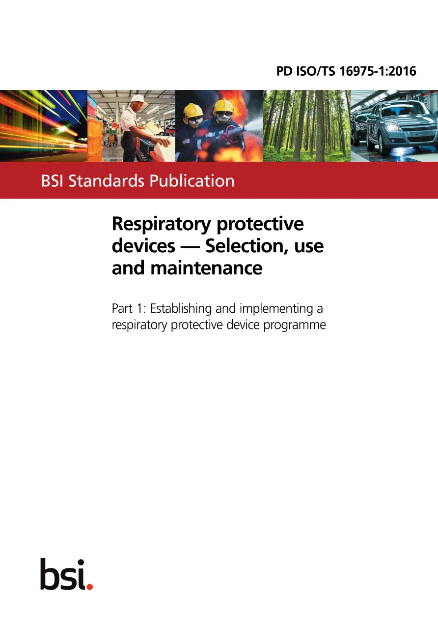BS PD ISO/TS 16975-1:2016 BS PD ISO/TS 16975-1:2016