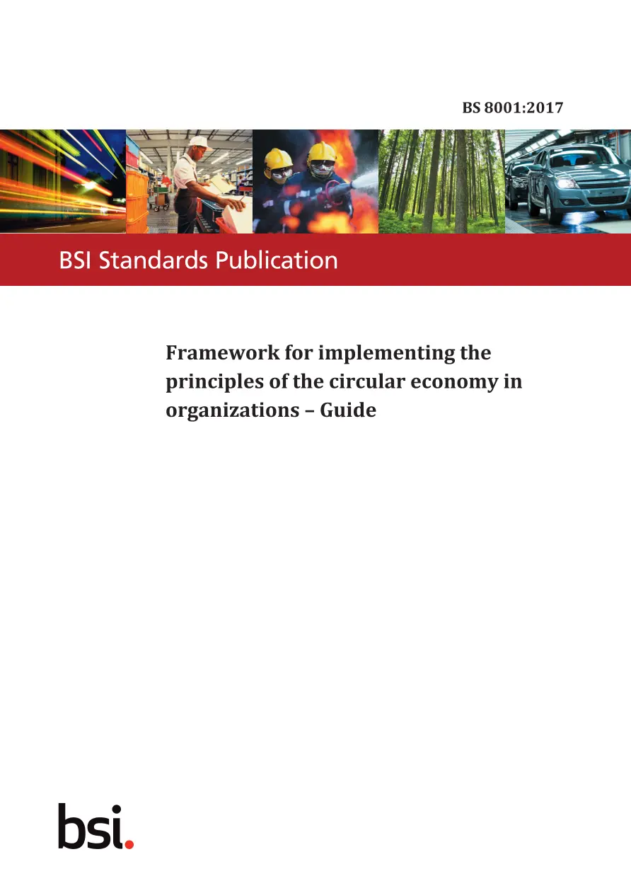 BS 8001:2017 BS 8001:2017
