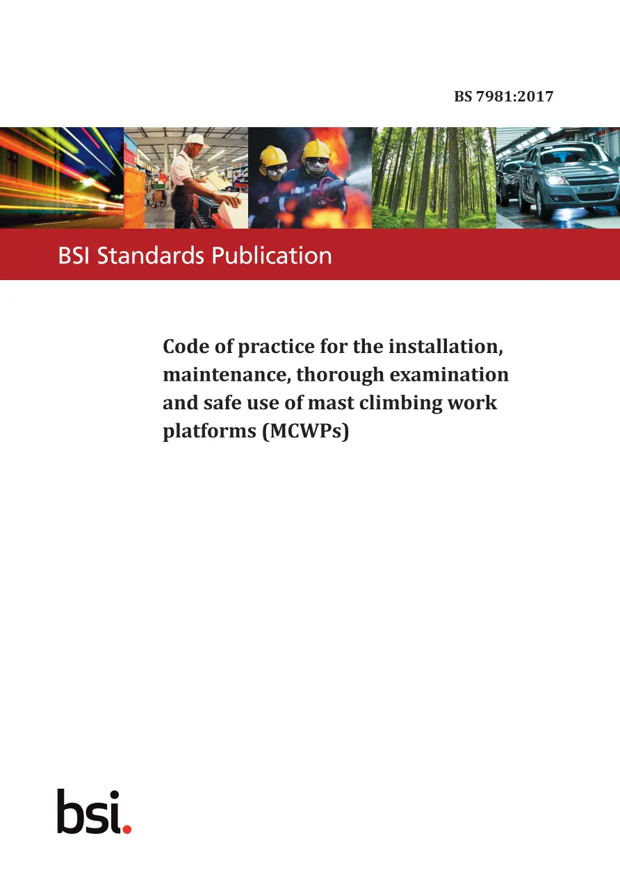 BS 7981:2017 BS 7981:2017