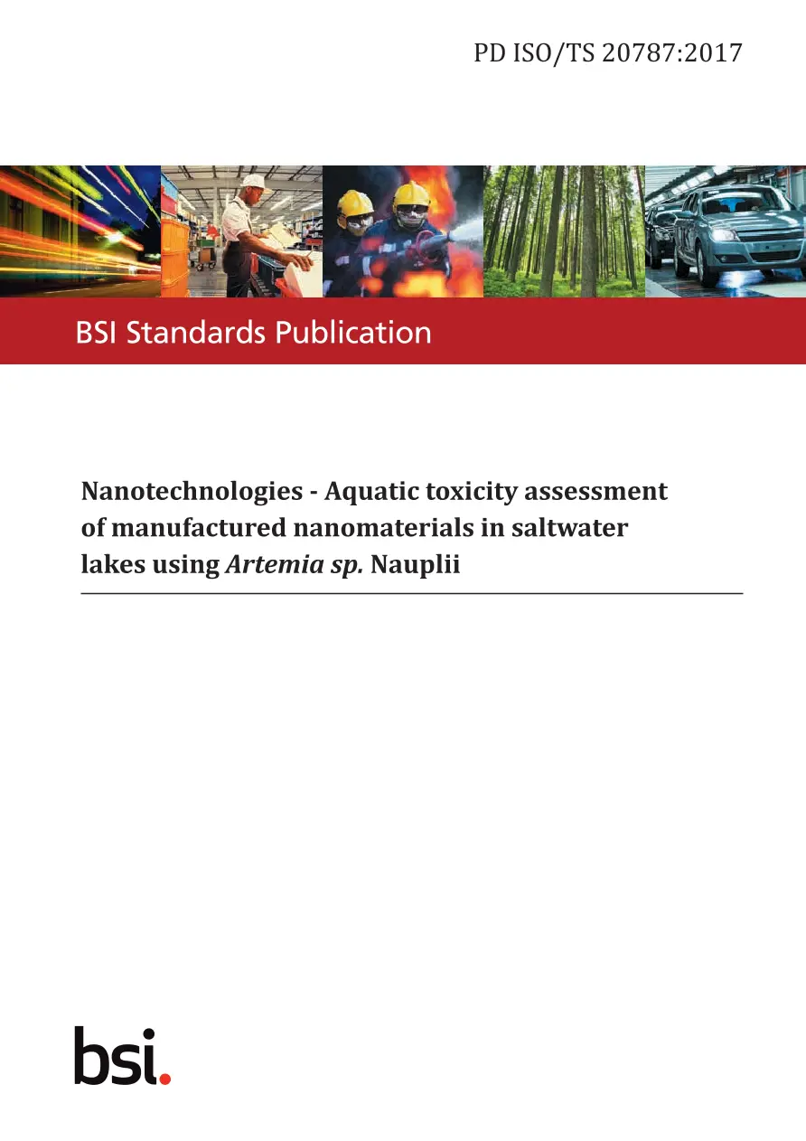 BS PD ISO/TS 20787:2017 BS PD ISO/TS 20787:2017