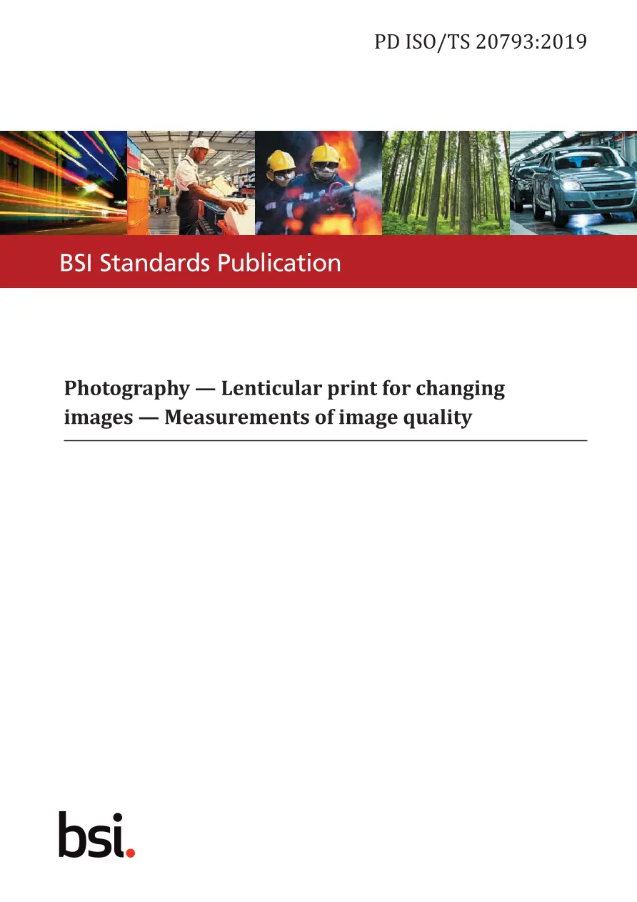 BS PD ISO/TS 20793:2019 BS PD ISO/TS 20793:2019