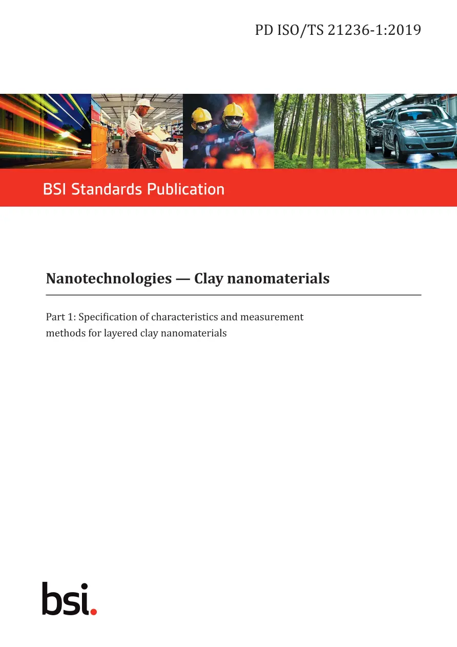 BS PD ISO/TS 21236-1:2019 BS PD ISO/TS 21236-1:2019