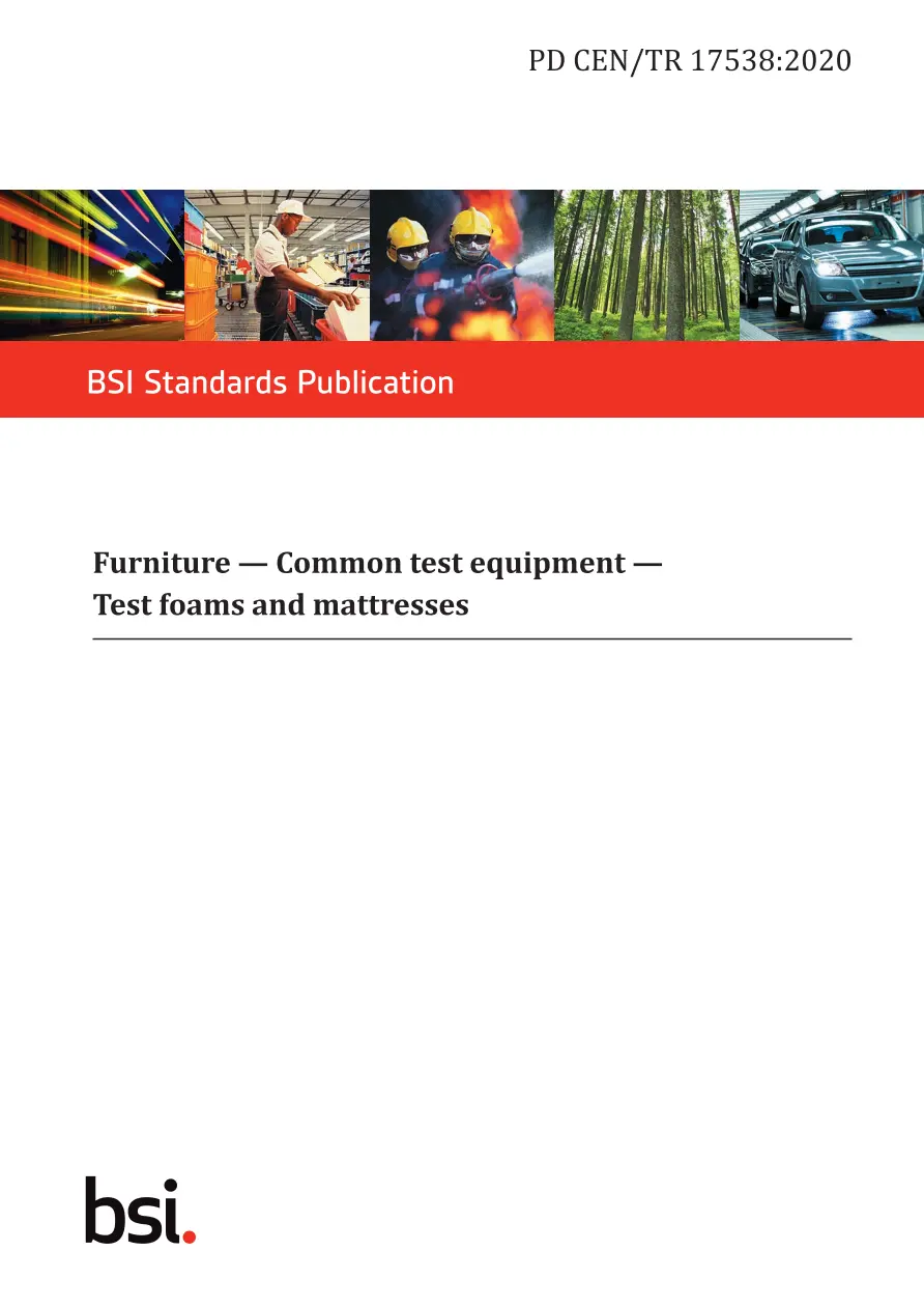 BS PD CEN/TR 17538:2020 BS PD CEN/TR 17538:2020