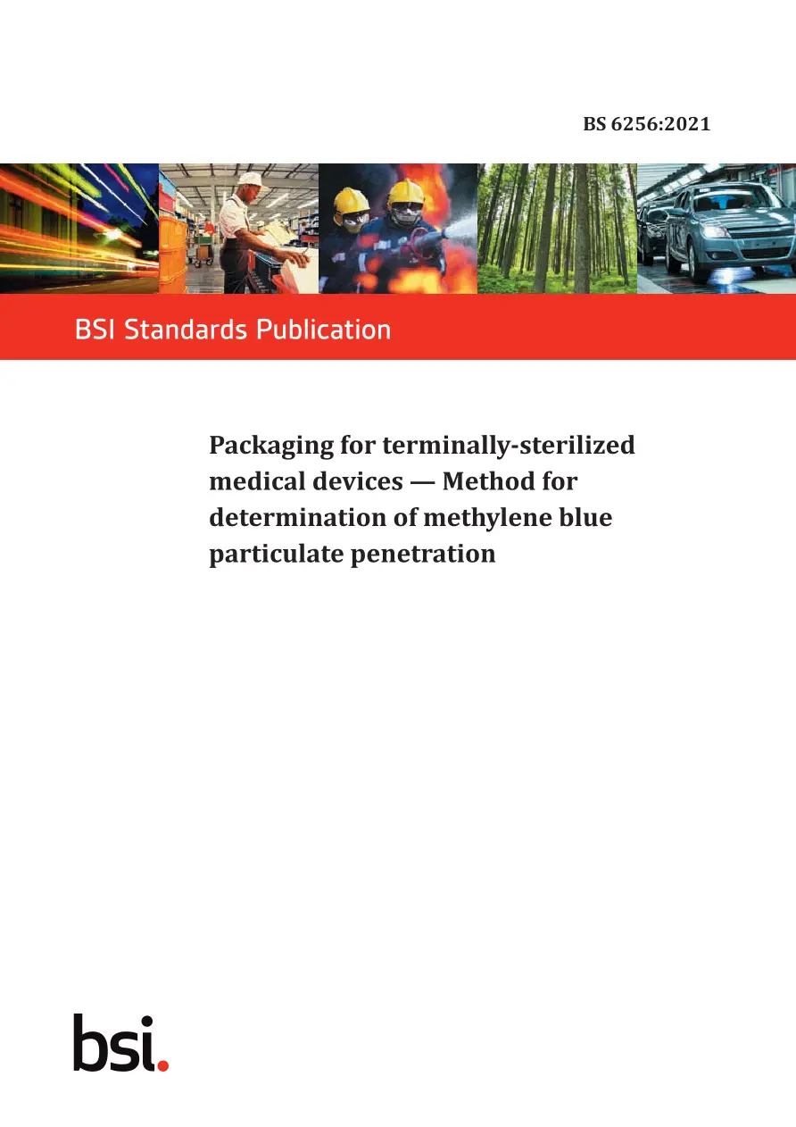 BS 6256:2021 BS 6256:2021