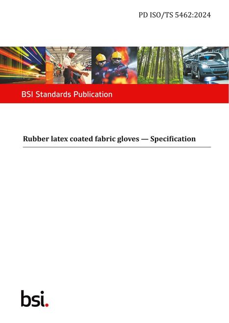 BS PD ISO/TS 5462:2024 BS PD ISO/TS 5462:2024
