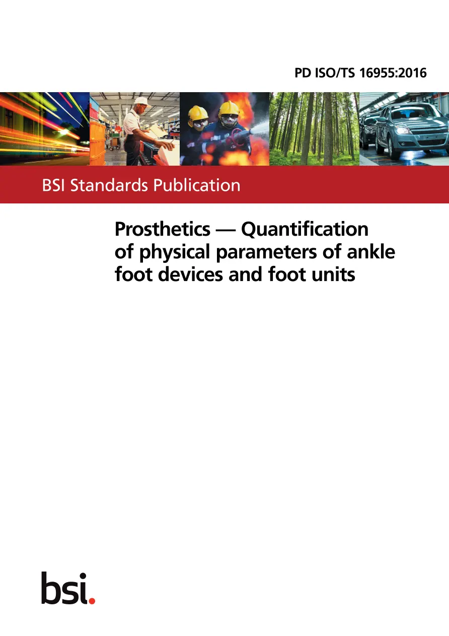 BS PD ISO/TS 16955:2016 BS PD ISO/TS 16955:2016
