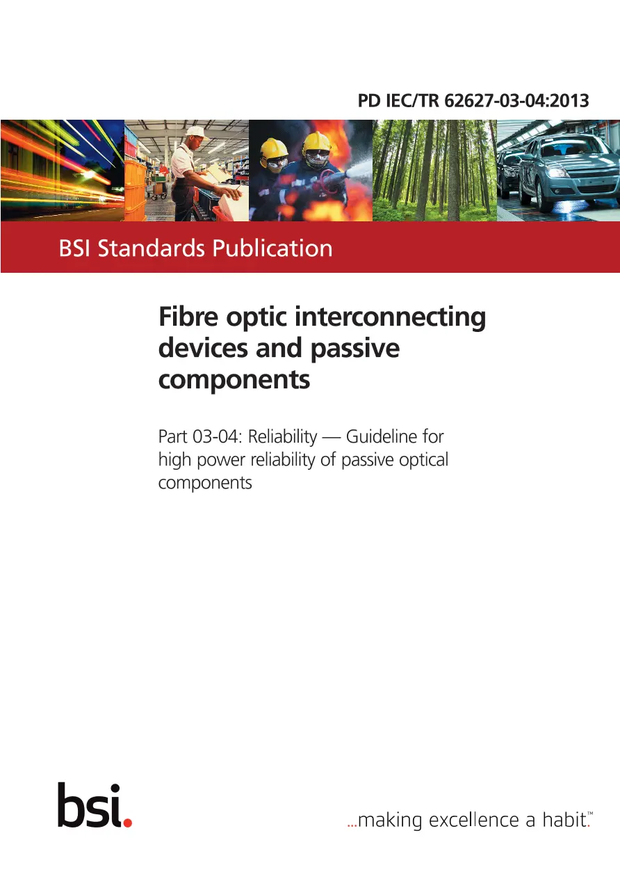 BS PD IEC/TR 62627-03-04:2013 BS PD IEC/TR 62627-03-04:2013