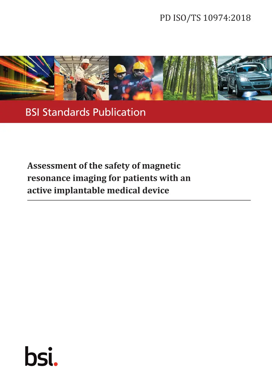 BS PD ISO/TS 10974:2018 BS PD ISO/TS 10974:2018