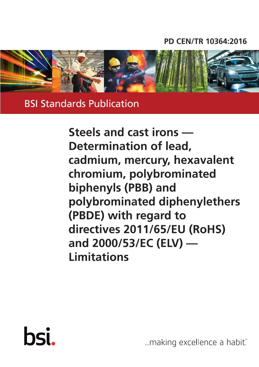 BS PD CEN/TR 10364:2016 BS PD CEN/TR 10364:2016
