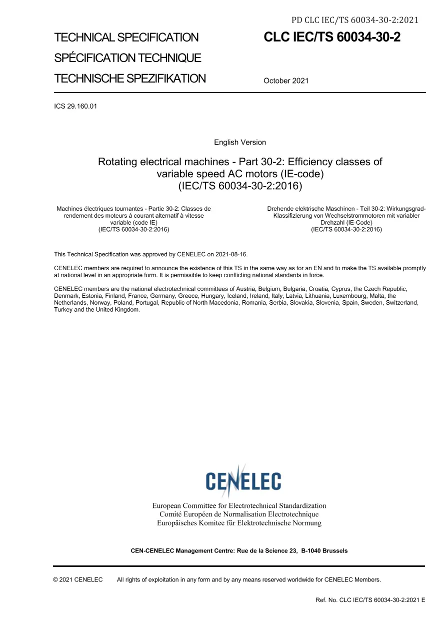 BS PD CLC IEC/TS 60034-30-2:2021 BS PD CLC IEC/TS 60034-30-2:2021