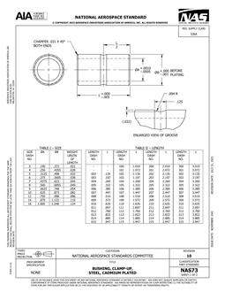 AIA NAS73:2023 AIA NAS73:2023