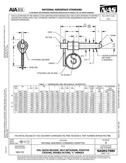 AIA NASM17989:2020 AIA NASM17989:2020
