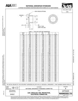 AIA NASM5501/31:2022 AIA NASM5501/31:2022