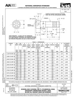 AIA NASM21295:2023 AIA NASM21295:2023