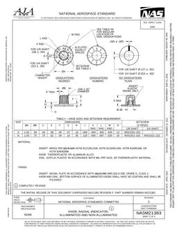 AIA NASM21383:2020 AIA NASM21383:2020